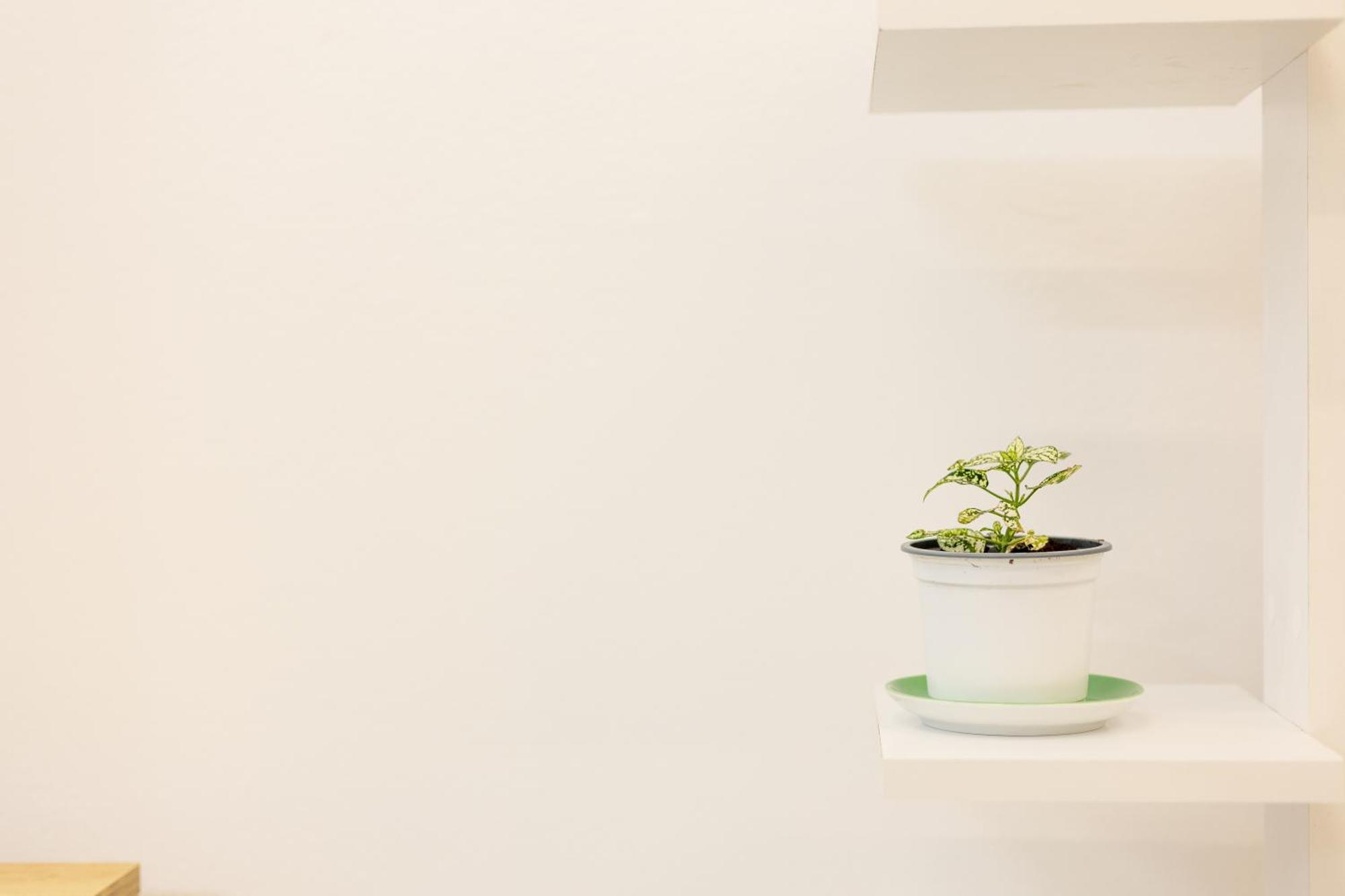 Free Parking Sudio Tirana Apartment Ngoại thất bức ảnh